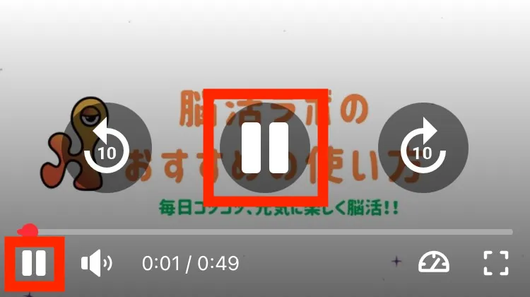 動画の再生画面