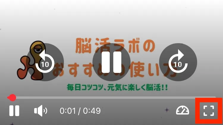 動画の再生画面