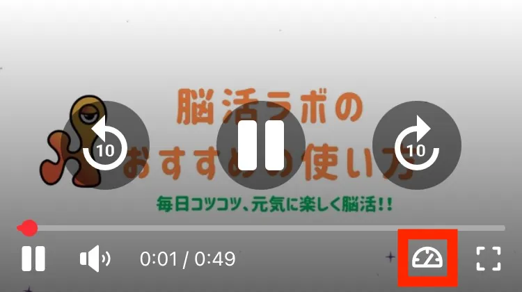 動画の再生画面